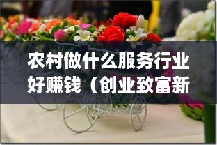 农村做什么服务行业好赚钱（创业致富新思路）