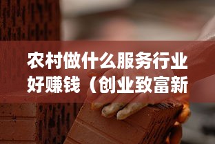 农村做什么服务行业好赚钱（创业致富新思路）