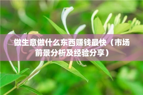 做生意做什么东西赚钱最快（市场前景分析及经验分享）