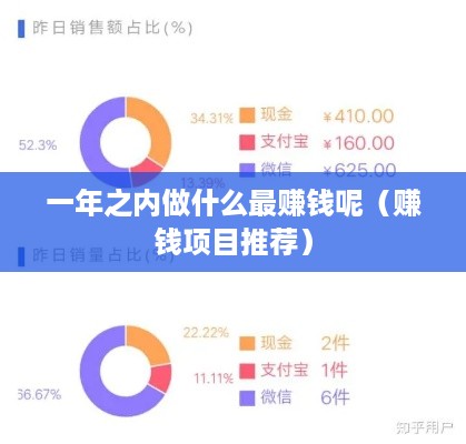 一年之内做什么最赚钱呢（赚钱项目推荐）