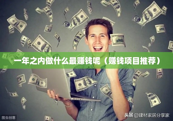 一年之内做什么最赚钱呢（赚钱项目推荐）