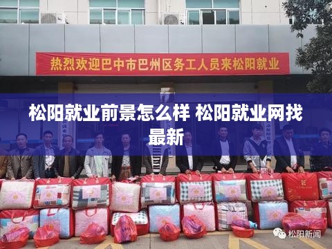 松阳就业前景怎么样 松阳就业网找最新