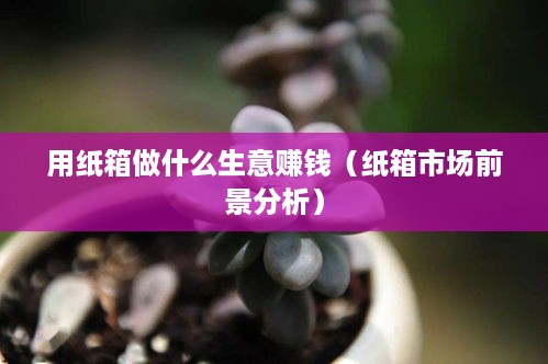 用纸箱做什么生意赚钱（纸箱市场前景分析）