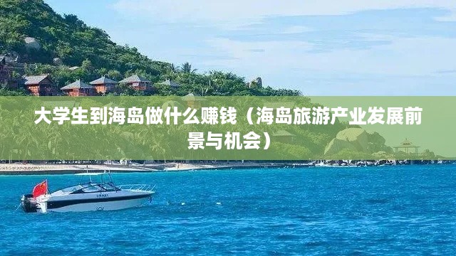 大学生到海岛做什么赚钱（海岛旅游产业发展前景与机会）