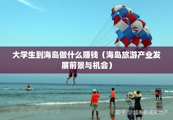 大学生到海岛做什么赚钱（海岛旅游产业发展前景与机会）