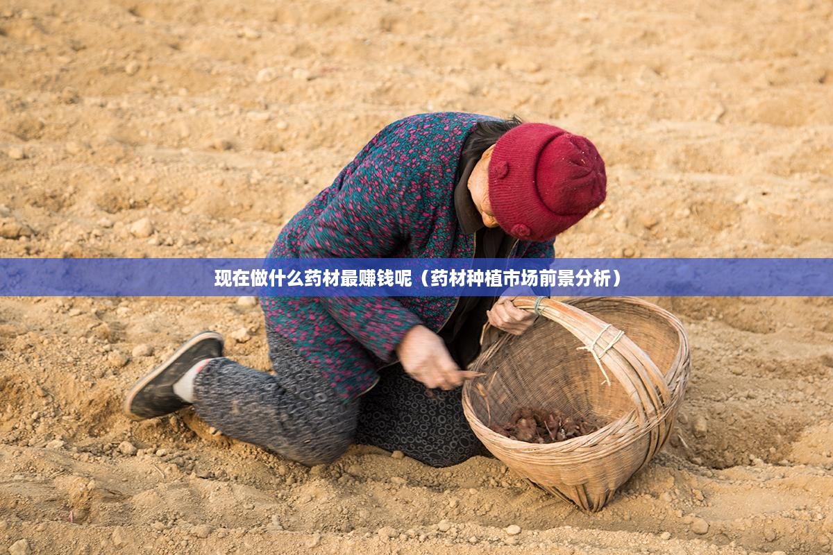 现在做什么药材最赚钱呢（药材种植市场前景分析）
