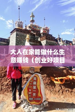 大人在家能做什么生意赚钱（创业好项目推荐）