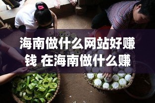 海南做什么网站好赚钱 在海南做什么赚钱