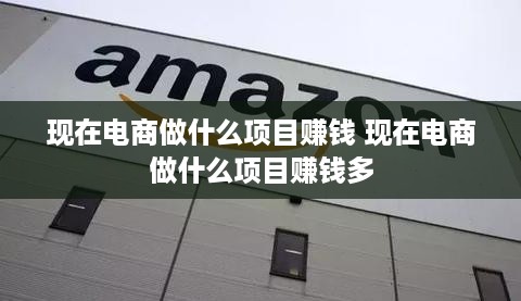 现在电商做什么项目赚钱 现在电商做什么项目赚钱多