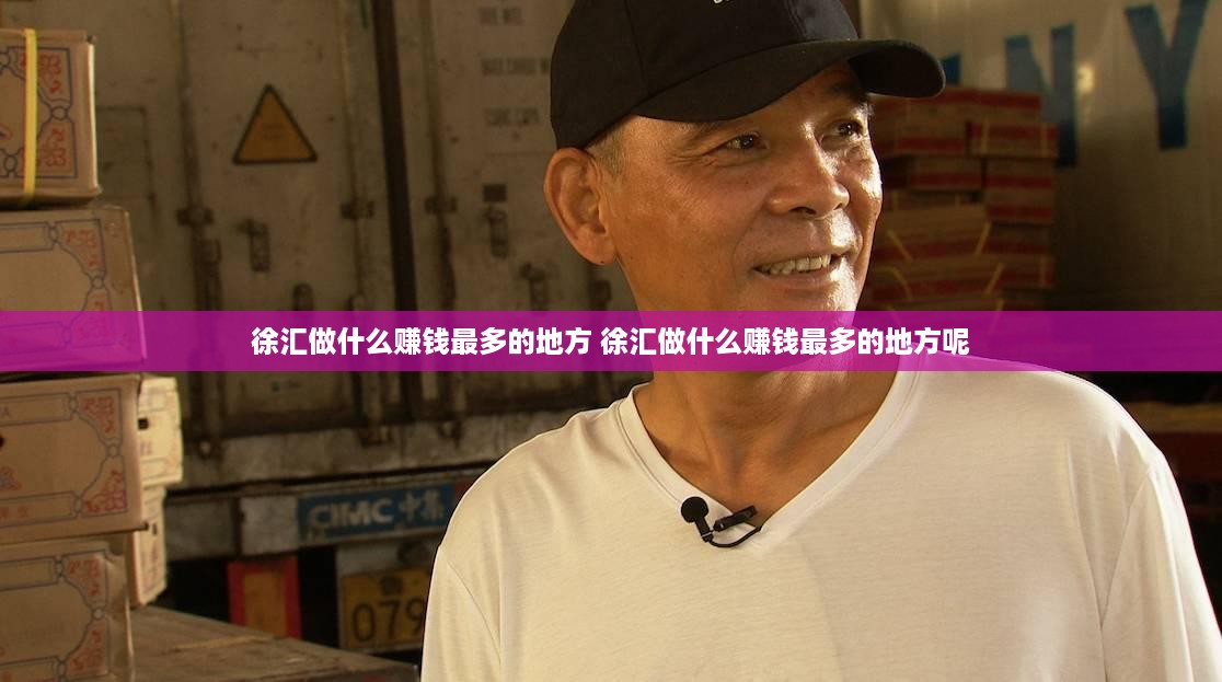 徐汇做什么赚钱最多的地方 徐汇做什么赚钱最多的地方呢