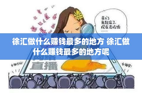 徐汇做什么赚钱最多的地方 徐汇做什么赚钱最多的地方呢