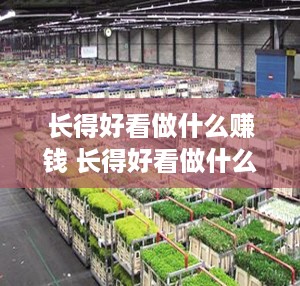 长得好看做什么赚钱 长得好看做什么赚钱最快