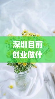 深圳目前创业做什么好赚钱 深圳创业适合做什么