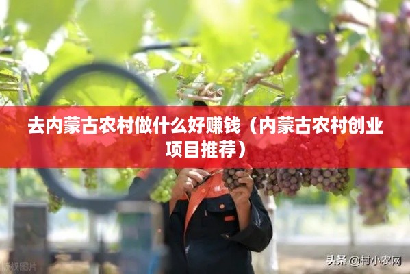 去内蒙古农村做什么好赚钱（内蒙古农村创业项目推荐）