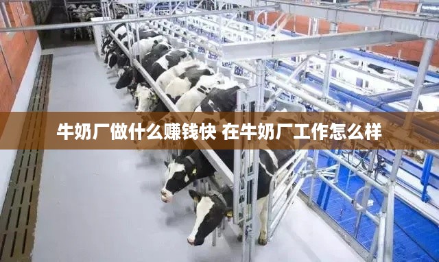 牛奶厂做什么赚钱快 在牛奶厂工作怎么样