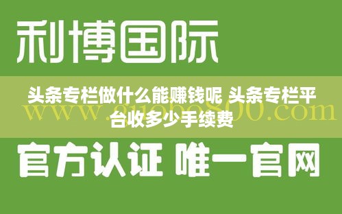 头条专栏做什么能赚钱呢 头条专栏平台收多少手续费