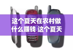 这个夏天在农村做什么赚钱 这个夏天在农村做什么赚钱快