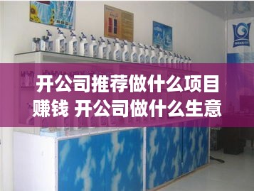 开公司推荐做什么项目赚钱 开公司做什么生意好