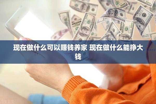 现在做什么可以赚钱养家 现在做什么能挣大钱