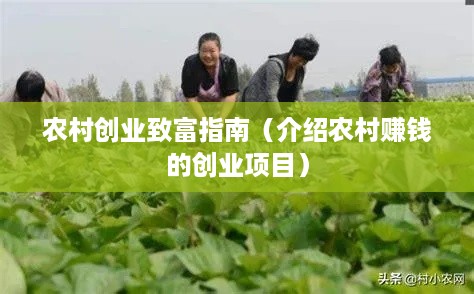 农村创业致富指南（介绍农村赚钱的创业项目）