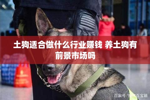 土狗适合做什么行业赚钱 养土狗有前景市场吗