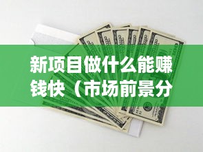 新项目做什么能赚钱快（市场前景分析与投资建议）