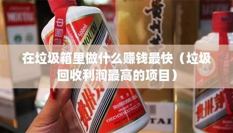 在垃圾箱里做什么赚钱最快（垃圾回收利润最高的项目）