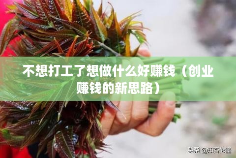 不想打工了想做什么好赚钱（创业赚钱的新思路）