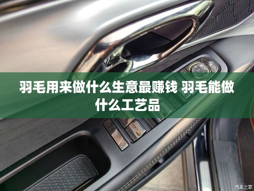 羽毛用来做什么生意最赚钱 羽毛能做什么工艺品