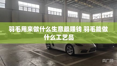羽毛用来做什么生意最赚钱 羽毛能做什么工艺品