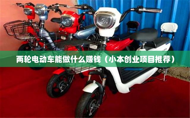 两轮电动车能做什么赚钱（小本创业项目推荐）