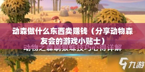 动森做什么东西卖赚钱（分享动物森友会的游戏小贴士）