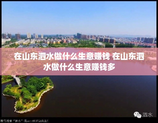 在山东泗水做什么生意赚钱 在山东泗水做什么生意赚钱多