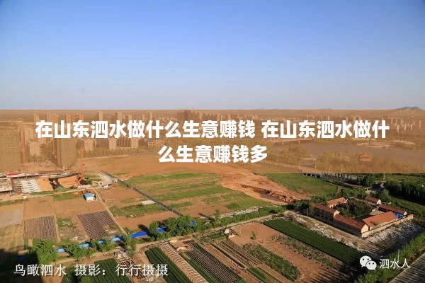 在山东泗水做什么生意赚钱 在山东泗水做什么生意赚钱多