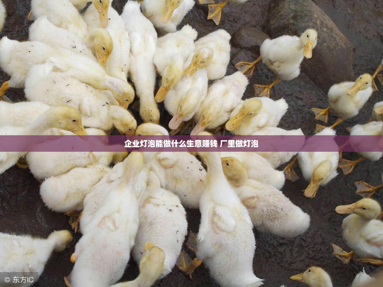 企业灯泡能做什么生意赚钱 厂里做灯泡