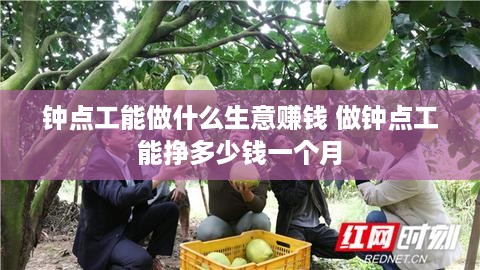 钟点工能做什么生意赚钱 做钟点工能挣多少钱一个月