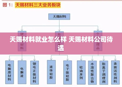 天赐材料就业怎么样 天赐材料公司待遇