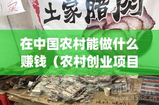 在中国农村能做什么赚钱（农村创业项目推荐）