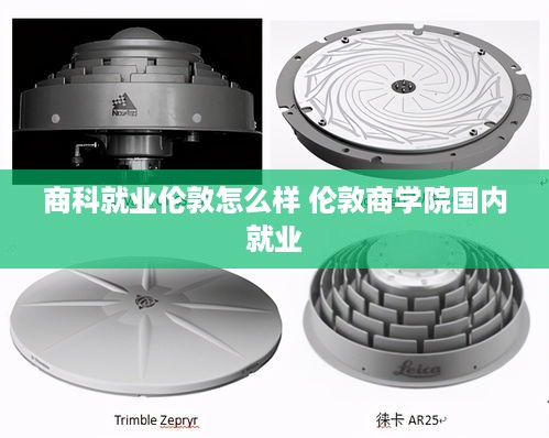 商科就业伦敦怎么样 伦敦商学院国内就业