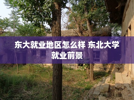 东大就业地区怎么样 东北大学就业前景