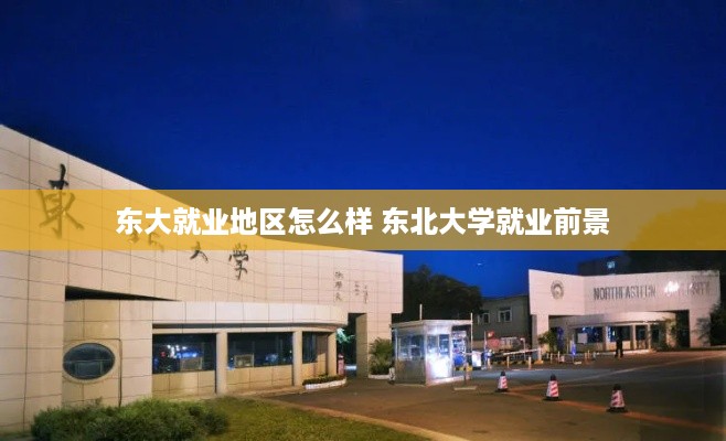 东大就业地区怎么样 东北大学就业前景