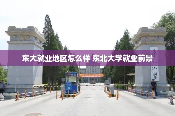 东大就业地区怎么样 东北大学就业前景