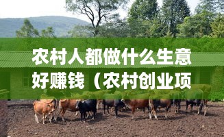 农村人都做什么生意好赚钱（农村创业项目推荐）