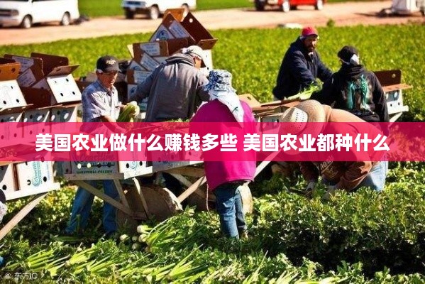 美国农业做什么赚钱多些 美国农业都种什么