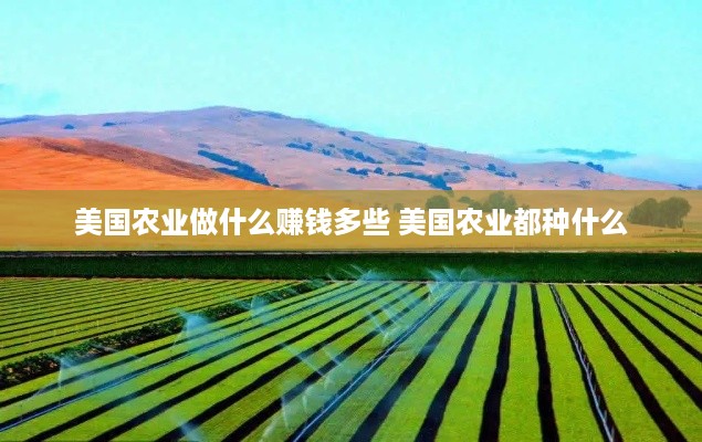 美国农业做什么赚钱多些 美国农业都种什么