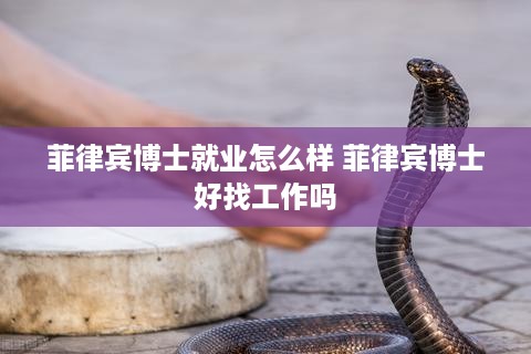 菲律宾博士就业怎么样 菲律宾博士好找工作吗