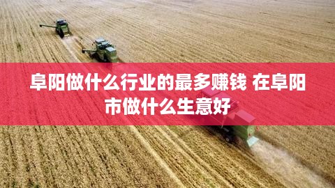 阜阳做什么行业的最多赚钱 在阜阳市做什么生意好