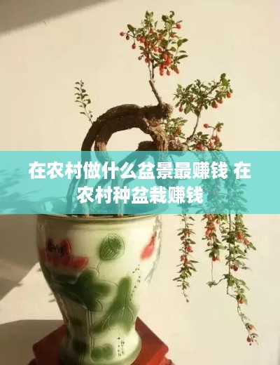 在农村做什么盆景最赚钱 在农村种盆栽赚钱