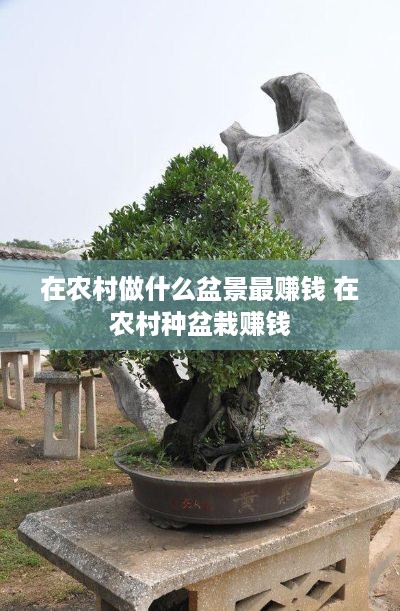 在农村做什么盆景最赚钱 在农村种盆栽赚钱