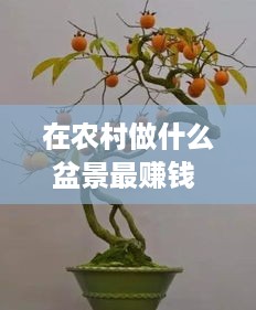 在农村做什么盆景最赚钱 在农村种盆栽赚钱